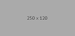 250X120