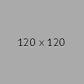 120X120